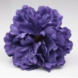 PEONÍA FLAMENCA MORADA