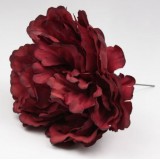 PEONÍA FLAMENCA BURDEOS