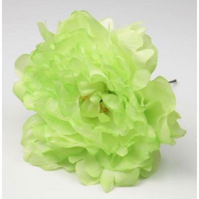 PEON&Iacute;A FLAMENCA PISTACHO